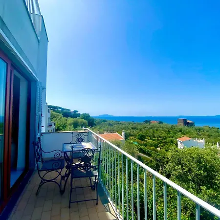 Firefly Sorrente