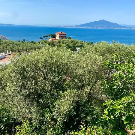 Firefly Sorrento